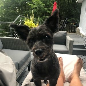 Meet your Posher, Jennifer